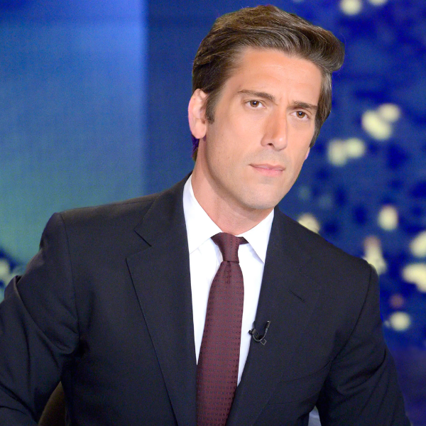 david muir gay