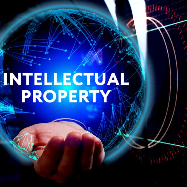 Ways of Safeguarding Your Business through Intellectual Property Law