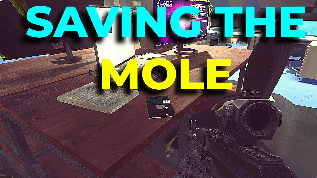 save the mole tarkov