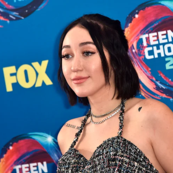 noah cyrus net worth