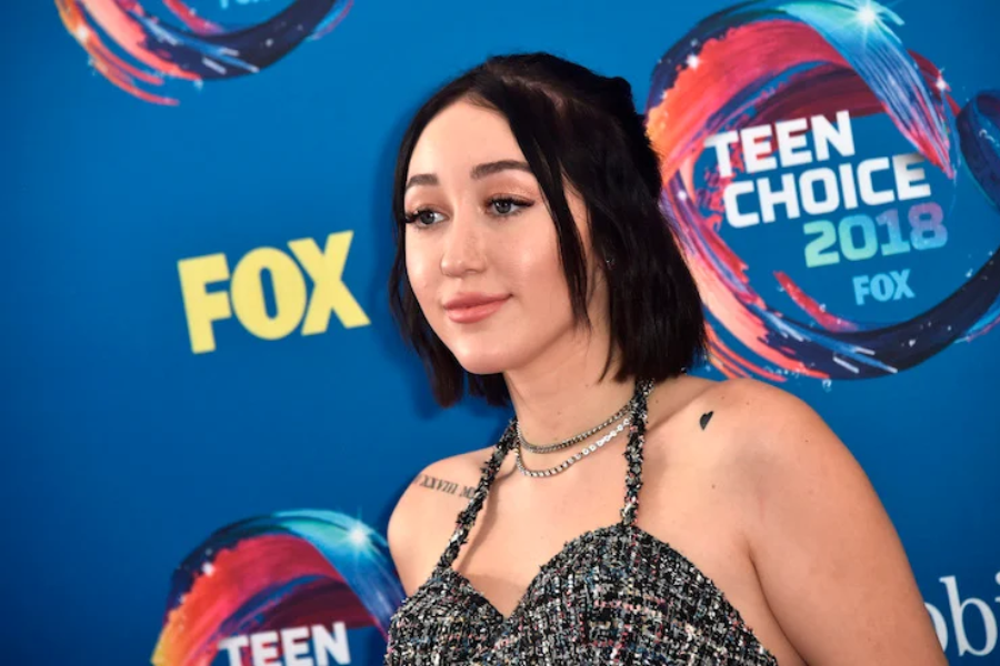 noah cyrus net worth